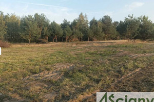 Działka na sprzedaż 1100m2 wyszkowski Zabrodzie Dębinki - zdjęcie 2