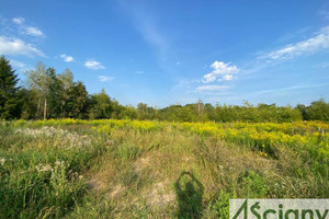 Działka na sprzedaż 1000m2 pruszkowski Brwinów Żółwin - zdjęcie 2