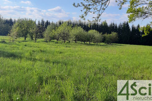 Działka na sprzedaż 1000m2 pruszkowski Nadarzyn Rusiec - zdjęcie 2