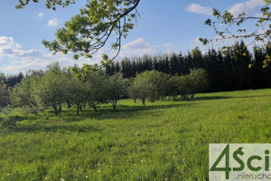 Działka na sprzedaż 1000m2 pruszkowski Nadarzyn Rusiec - zdjęcie 1