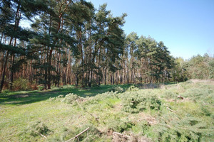 Działka na sprzedaż 1000m2 wołowski Brzeg Dolny Grodzanów - zdjęcie 1