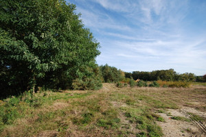 Działka na sprzedaż 1000m2 wołowski Brzeg Dolny Grodzanów - zdjęcie 1