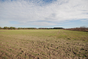 Działka na sprzedaż 1220m2 wołowski Brzeg Dolny Godzięcin - zdjęcie 3