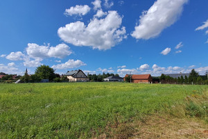 Działka na sprzedaż 1900m2 oleśnicki Dziadowa Kłoda Leśna - zdjęcie 2