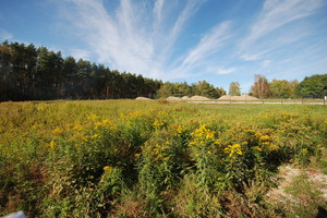 Działka na sprzedaż 1000m2 wołowski Brzeg Dolny Grodzanów - zdjęcie 3