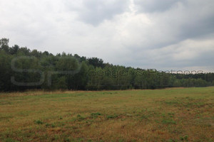 Działka na sprzedaż 1000m2 chodzieski Budzyń - zdjęcie 1