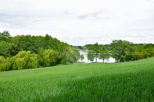 Działka na sprzedaż 1302m2 bydgoski Koronowo Gogolin - zdjęcie 2