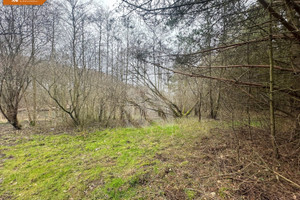 Działka na sprzedaż 5519m2 Bydgoszcz Piaski - zdjęcie 1