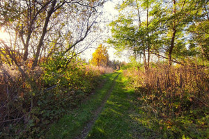 Działka na sprzedaż 1191m2 będziński Wojkowice - zdjęcie 2