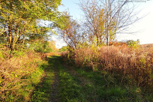 Działka na sprzedaż 1191m2 będziński Wojkowice - zdjęcie 3