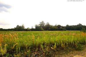 Działka na sprzedaż 1029m2 będziński Bobrowniki Dobieszowice - zdjęcie 3