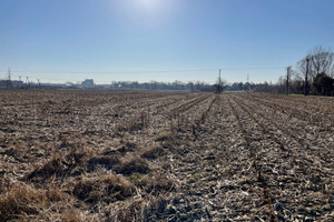 Działka na sprzedaż 3500m2 grodziski Grodzisk Mazowiecki Chrzanów Duży - zdjęcie 2