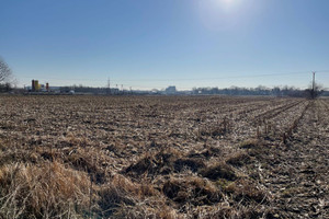 Działka na sprzedaż 3500m2 grodziski Grodzisk Mazowiecki Chrzanów Duży - zdjęcie 3