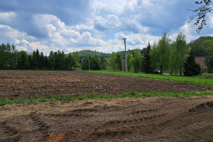 Działka na sprzedaż 1200m2 krakowski Jerzmanowice-Przeginia Jerzmanowice - zdjęcie 3