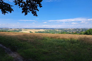 Działka na sprzedaż 5600m2 krakowski Iwanowice Iwanowice Dworskie - zdjęcie 3