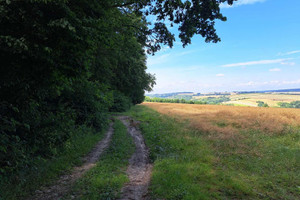 Działka na sprzedaż 5600m2 krakowski Iwanowice Iwanowice Dworskie - zdjęcie 2