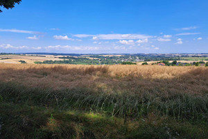 Działka na sprzedaż 5600m2 krakowski Iwanowice Iwanowice Dworskie - zdjęcie 4