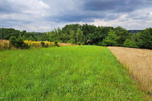 Działka na sprzedaż 700m2 krakowski Skała Świńczów - zdjęcie 2