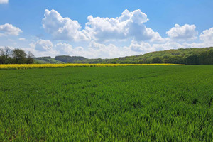 Działka na sprzedaż 8800m2 krakowski Skała Przybysławice - zdjęcie 1