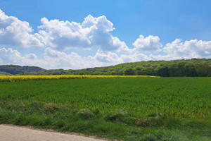 Działka na sprzedaż 8800m2 krakowski Skała Przybysławice - zdjęcie 2