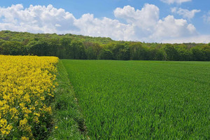 Działka na sprzedaż 8800m2 krakowski Skała Przybysławice - zdjęcie 3