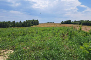 Działka na sprzedaż 2900m2 krakowski Skała - zdjęcie 1