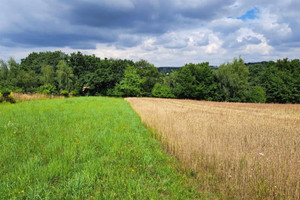 Działka na sprzedaż 700m2 krakowski Skała Świńczów - zdjęcie 1