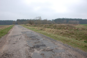 Działka na sprzedaż 25900m2 obornicki Rogoźno Tarnowo - zdjęcie 1