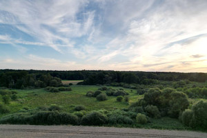 Działka na sprzedaż 26700m2 wągrowiecki Skoki Potrzanowo Włókna - zdjęcie 2