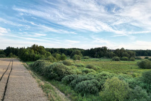 Działka na sprzedaż 26700m2 wągrowiecki Skoki Potrzanowo Włókna - zdjęcie 3