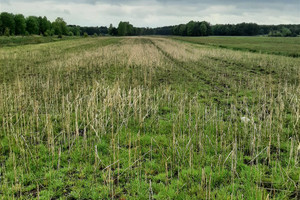 Działka na sprzedaż 8609m2 kłobucki Miedźno Ostrowy - zdjęcie 1