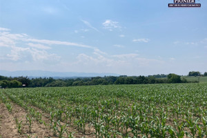 Działka na sprzedaż 15000m2 cieszyński Hażlach Zamarski - zdjęcie 1