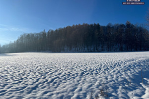 Działka na sprzedaż 3000m2 cieszyński Ustroń - zdjęcie 2