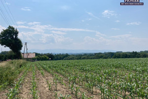 Działka na sprzedaż 15000m2 cieszyński Hażlach Zamarski - zdjęcie 3