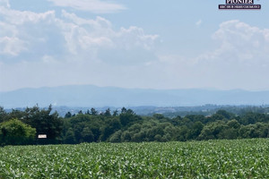 Działka na sprzedaż 3400m2 cieszyński Hażlach Zamarski - zdjęcie 1