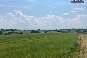 Działka na sprzedaż 70000m2 cieszyński Hażlach Zamarski - zdjęcie 1