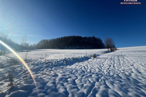 Działka na sprzedaż 3000m2 cieszyński Ustroń - zdjęcie 1