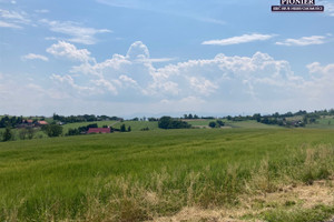 Działka na sprzedaż 70000m2 cieszyński Hażlach Zamarski - zdjęcie 2