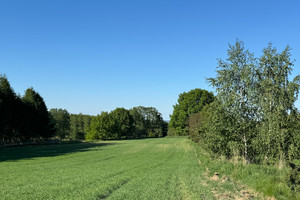 Działka na sprzedaż mikołowski Łaziska Górne - zdjęcie 2