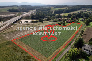 Działka na sprzedaż 15103m2 bielski Wilamowice - zdjęcie 1