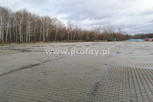 Komercyjne do wynajęcia 340m2 Sosnowiec - zdjęcie 3