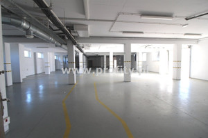 Komercyjne do wynajęcia 600m2 Katowice - zdjęcie 2