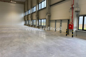 Komercyjne do wynajęcia 1600m2 Zabrze - zdjęcie 2