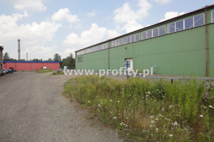 Komercyjne do wynajęcia 1600m2 Bytom - zdjęcie 3