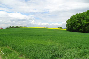 Działka na sprzedaż 3414m2 bielski Bestwina - zdjęcie 1