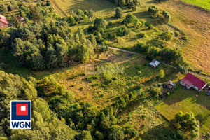 Działka na sprzedaż 10681m2 słupski Potęgowo Żochowo - zdjęcie 2