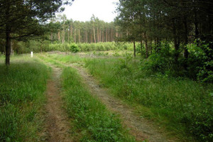 Działka na sprzedaż 1000m2 kamieński Świerzno Gostyniec - zdjęcie 1