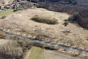 Działka na sprzedaż 13600m2 stargardzki Dobrzany Kozy - zdjęcie 3