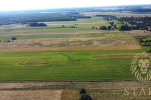 Działka na sprzedaż 14500m2 stargardzki Dobrzany Biała - zdjęcie 2