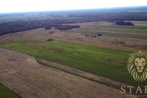 Działka na sprzedaż 14500m2 stargardzki Dobrzany Biała - zdjęcie 3